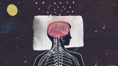 تصویر از مغز ما در هنگام خواب چه کار می‌کند؟