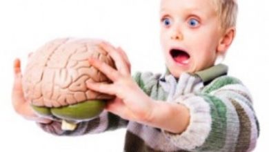 تصویر از کارکردهای مغزی کودک و تقویت آنها